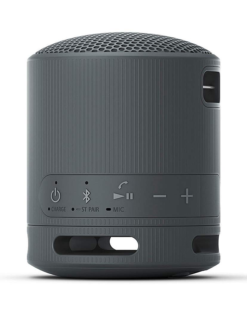 Sony SRS-XB100 Portable Speaker - Black