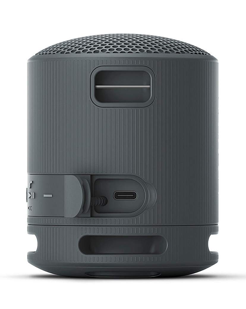Sony SRS-XB100 Portable Speaker - Black