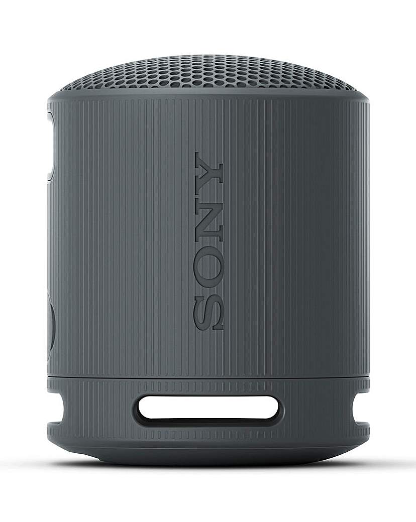 Sony SRS-XB100 Portable Speaker - Black