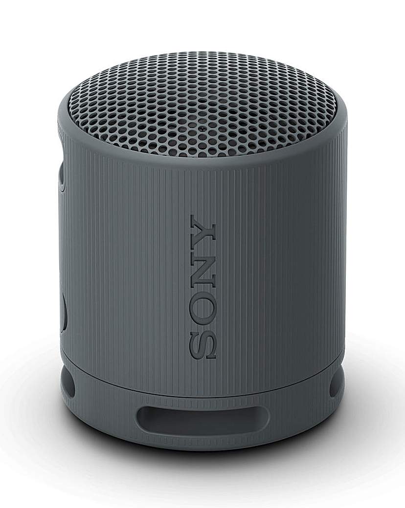 Sony SRS-XB100 Portable Speaker - Black