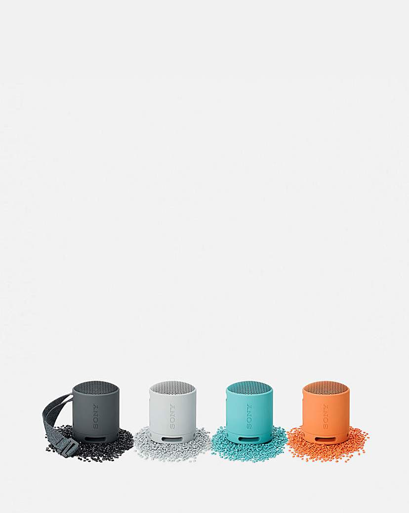 Sony SRS-XB100 Portable Speaker - Grey