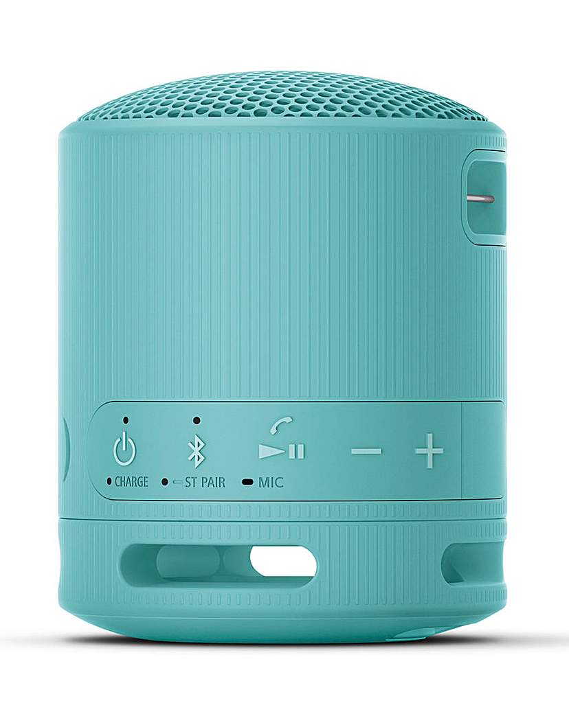 Sony SRS-XB100 Portable Speaker - Blue