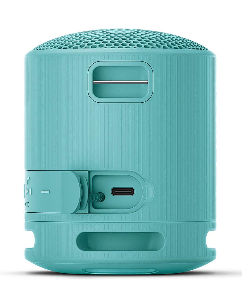 Sony SRS-XB100 Portable Speaker - Blue